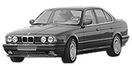 BMW E34 P0440 Fault Code